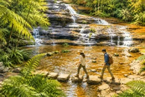 blue-mountains-waterfall-hiking-watercolor