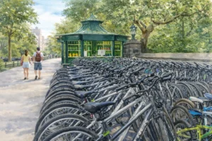 Central Park Bike Rental: Prices, Routes & Booking Guide