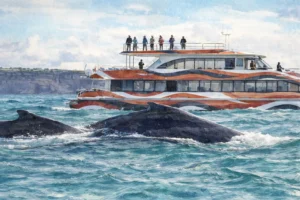 Sydney 2-Hour Express Whale Watching Cruise: Tickets & Guide
