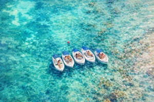 Cancun Jungle Tour: Speedboat and Snorkeling Through the Mangroves