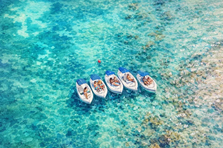 Cancun Jungle Tour: Speedboat and Snorkeling Through the Mangroves